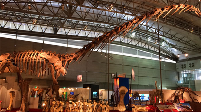 ޴չʡʲݹݲؿʯձǧҶչ