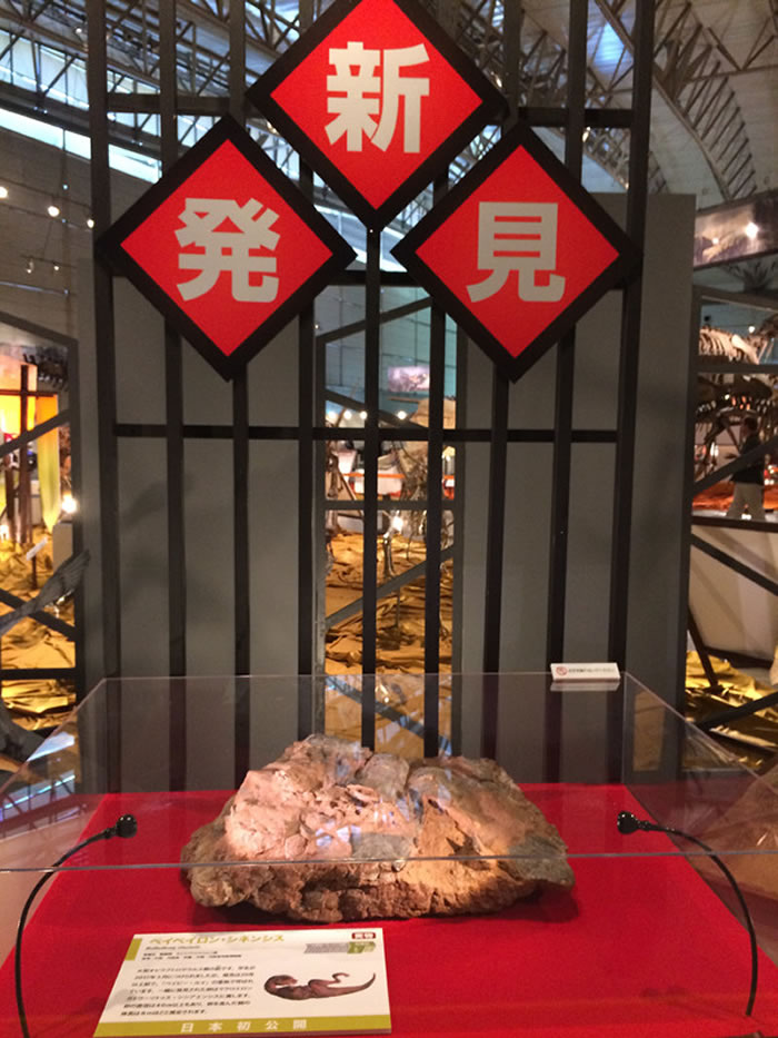 ޴չʡʲݹݲؿʯձǧҶչ