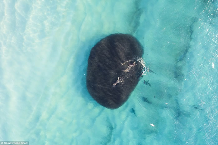 ʡɳ̲βνˮС Ⱥ㸽ε