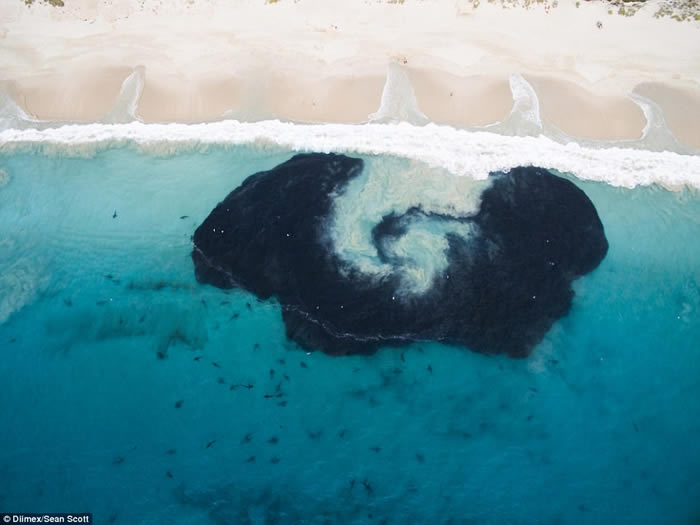 ʡɳ̲βνˮС Ⱥ㸽ε