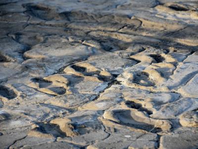 坦桑尼亚的伦盖伊火山即将喷发 威胁古人类脚印化石遗迹