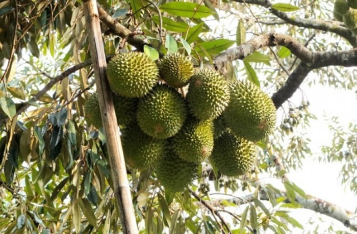 ָ߷ûбƷֵġζͼƬ