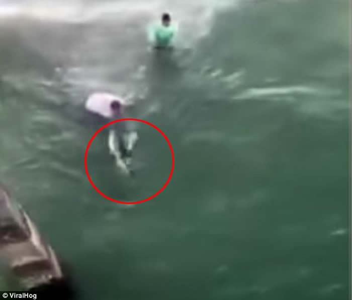 美国北卡罗莱纳州男子在海滩上企图徒手捉住虎鲨 反遭噬咬血染大海