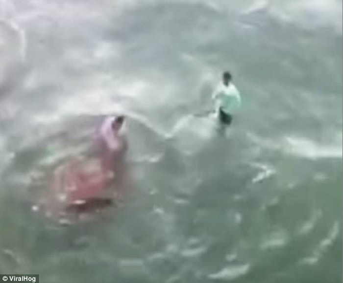 美国北卡罗莱纳州男子在海滩上企图徒手捉住虎鲨 反遭噬咬血染大海