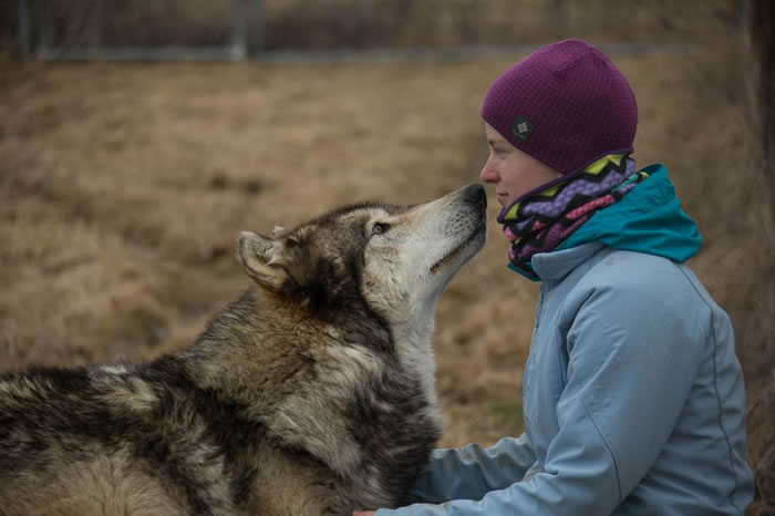 �о����ֹ����׽���������ڻ���ͻ���й�