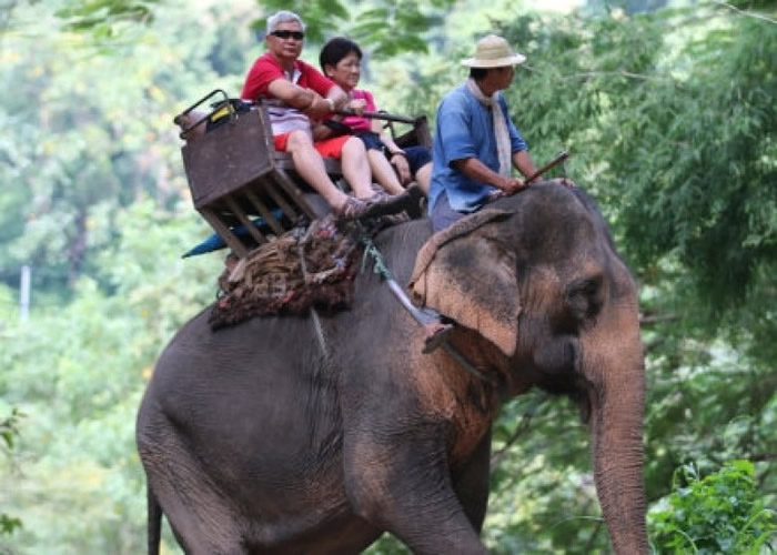 �οͳ������󵽴��۹ⱳ�󣬲��ٴ�����Ű����������ͼƬ��