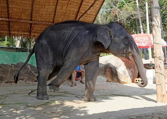 ��֯����������ֹͣ�ƹ��������۹����ʹ�����ݵ��г̡�������ͼƬ��