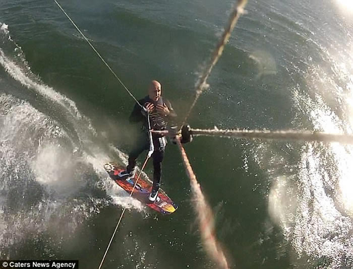 美国加州男子滑浪时居然冲到鲸鱼背部