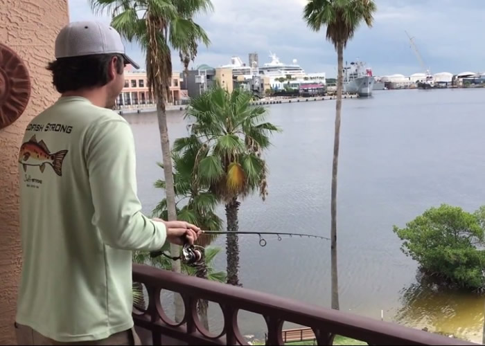 �������ӳɹ����С�ң����㡱��