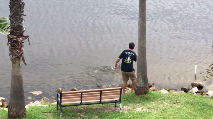 ������¥��Э����