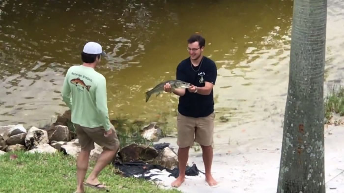 ���ɹ����������