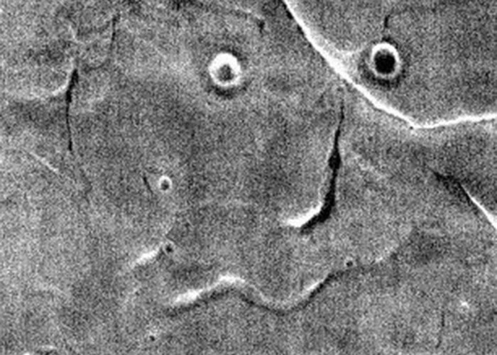 �������������ߺ�ͼƬ���ع� �ƶ����˵�����