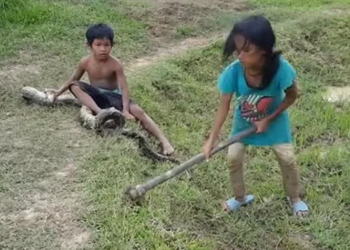 ��·�����������֣������һ����Ѩ����