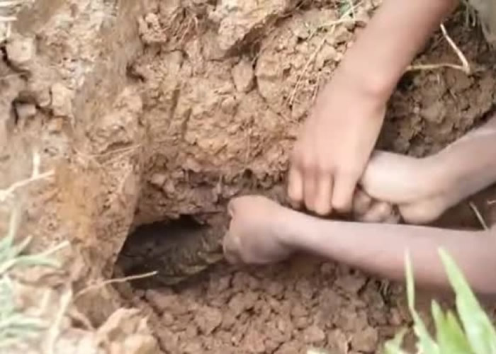 �ڿ�����������һ���ߣ����˺���������������