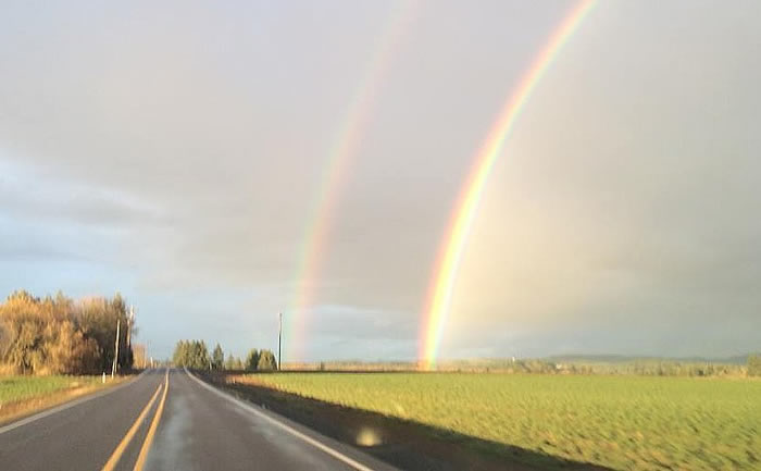 水循环的加强可能会引起美国氮素径流量的急剧增加