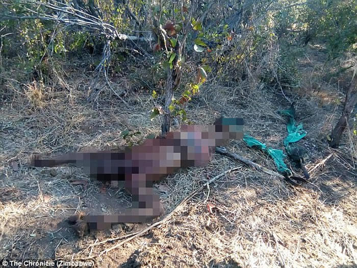 ��Ͳ�ΤҰ������ѵ��ʦ���ǳ�����ù�������