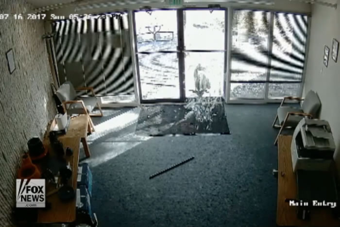 美国科罗拉多州一只成年大山羊为何用它的角撞碎玻璃门