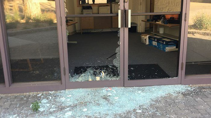 美国科罗拉多州一只成年大山羊为何用它的角撞碎玻璃门