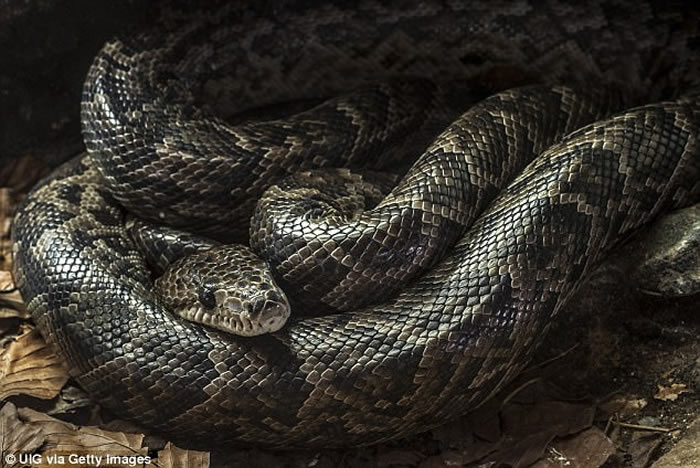 ������������Ů�ӱ������Լ���������߲���ҧ��