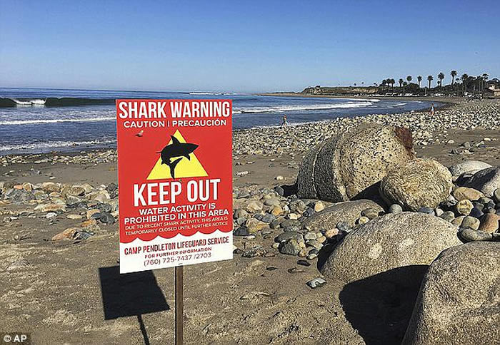 ����Ů���ڼ��ݺ�̲�������蹥�� ���ֲ������������ڳ��۾����ӹ�һ��