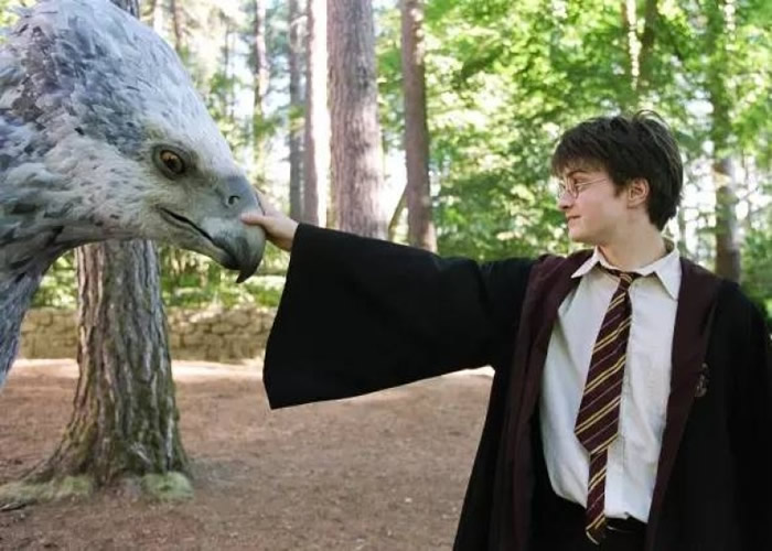 ����һ�������ǽ��ܻ�����ħ��ѧУ�γ̣�������������ѧ��ͼΪ��Ӱ���ա�