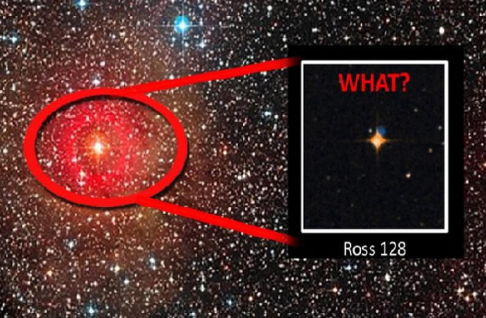 ��������Ϊ����������11����ĺ찫����˹128��Ross 128����������Ѷ��