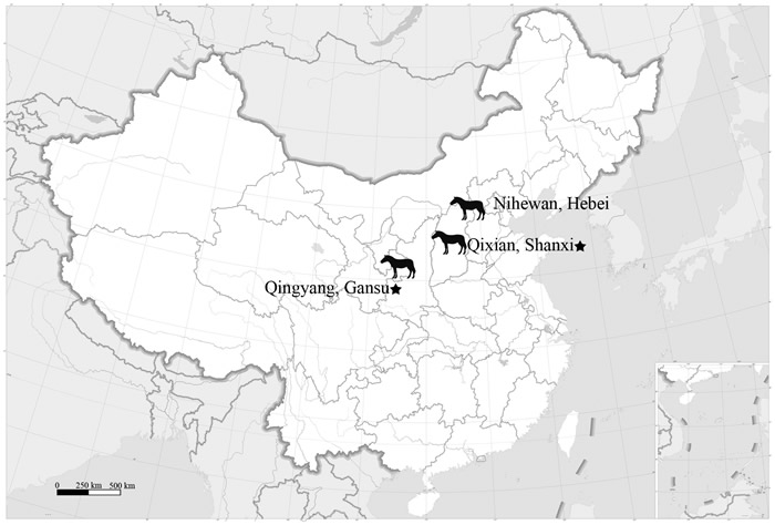 德氏马和庆阳马在中国的分布
