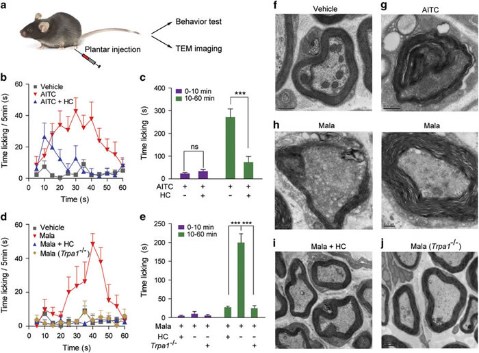 中国科学家鉴定出可以治疗由杀虫剂和化学武器所引起神经损伤的药物