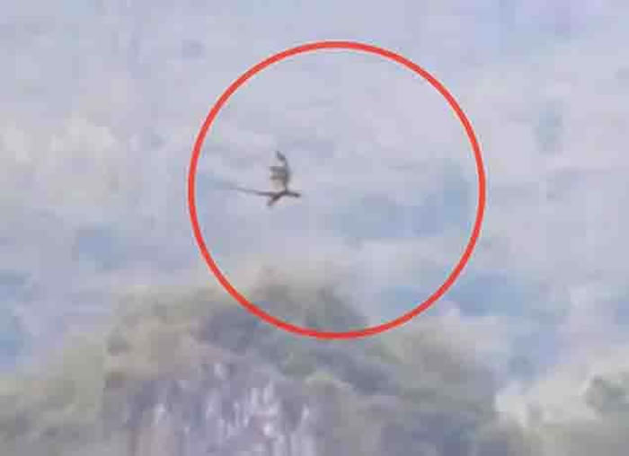 老外到中国爬山拍到天空中的单翅飞龙 网友喊:我在张家界也遇过