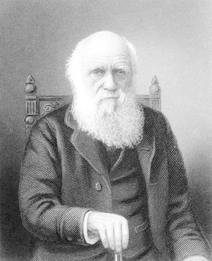 ���˹��������������ʵ�õ���������ż�Ĺ����� PHOTOGRAPH BY TIME LIFE PICTURES, MANSELL, THE LIFE PICT