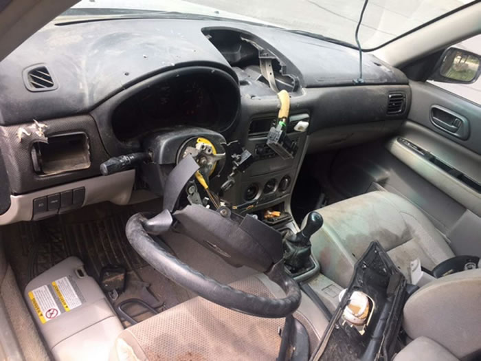 ��������������һͷ����͵�����º�����һ����ʺ����