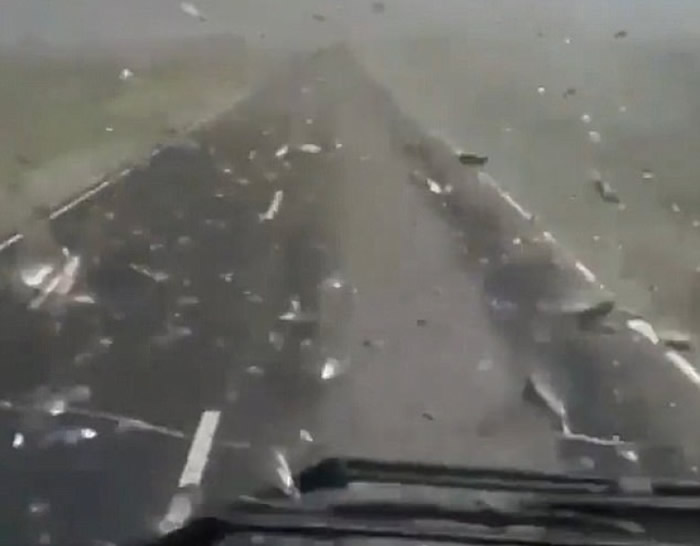 ˹Ｊ˹̹͹ȳΪ ͻϮ·Ϊϵɳ