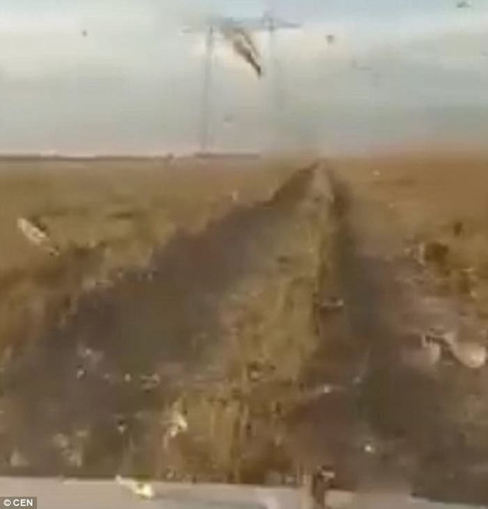 ˹Ｊ˹̹͹ȳΪ ͻϮ·Ϊϵɳ