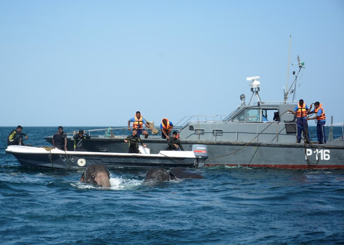 �Ŷ��ɳ�ǱˮԱ�ʹ���Ӫ�ȴ���