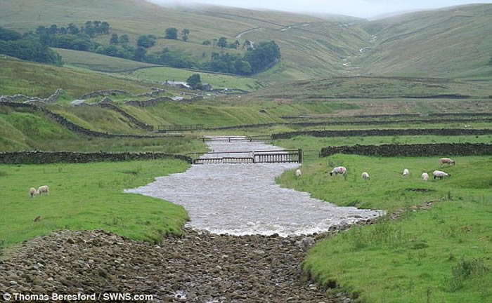 Ӣ��Լ�˿��ȵظɺԺӵ���������±�������ˮ ��Ȼ��ò˲���Ȼ��ͬ