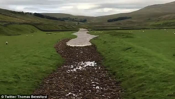 Ӣ��Լ�˿��ȵظɺԺӵ���������±�������ˮ ��Ȼ��ò˲���Ȼ��ͬ