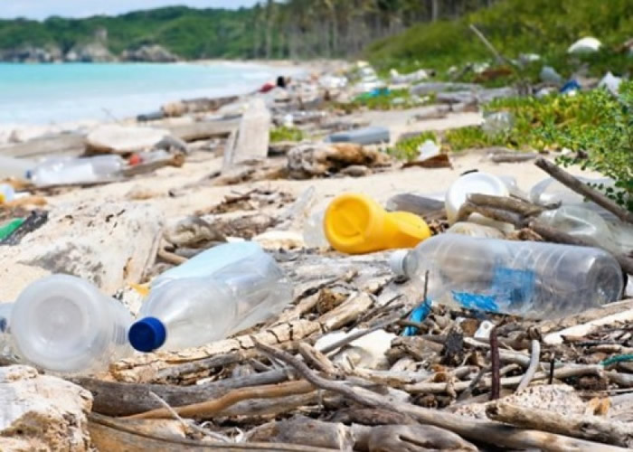 �����������ɡ��ܽ����򡱡�