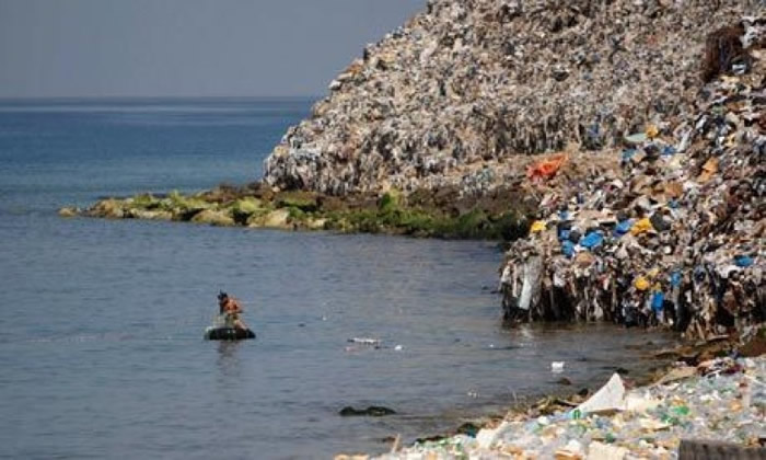 美国学术期刊《Science Advances》:人类产生