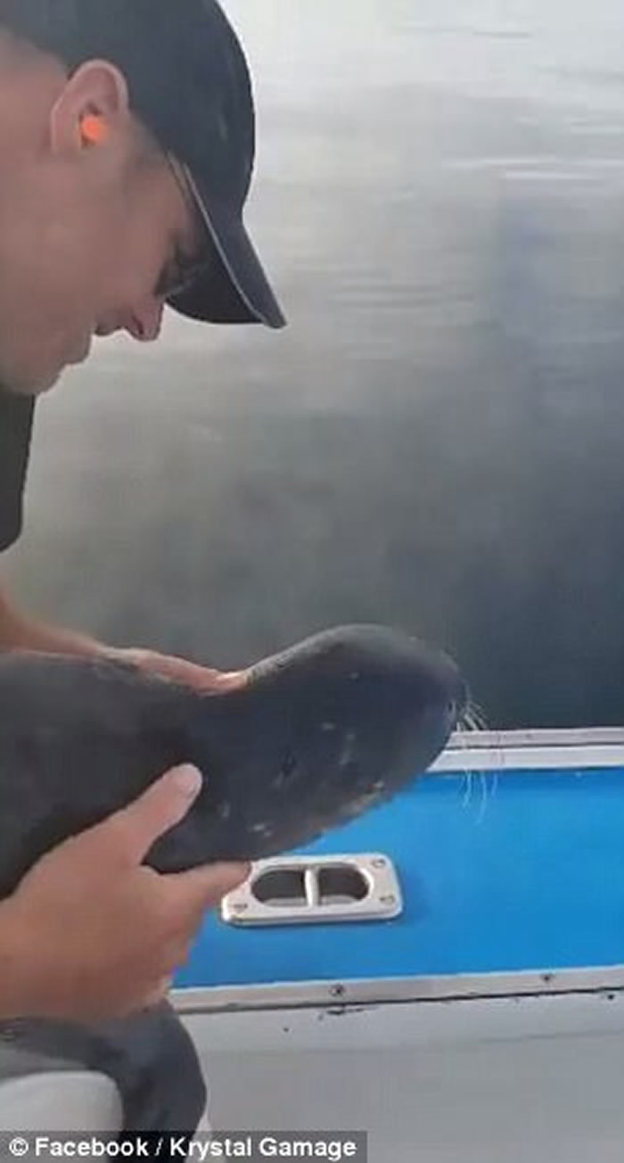 С�������������� ������������������Ӫ�Ȼ��������