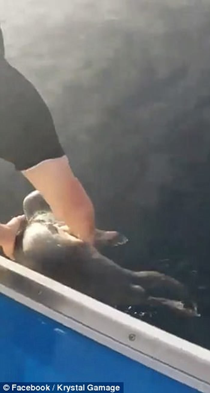 С�������������� ������������������Ӫ�Ȼ��������