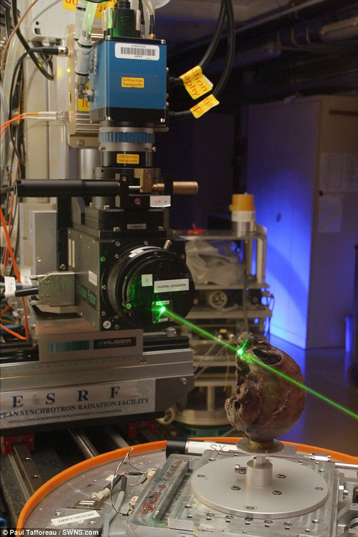 肯尼亚发现的1300万年前灵长类动物头骨化石为人类和猿类的非洲起源揭示新的光芒