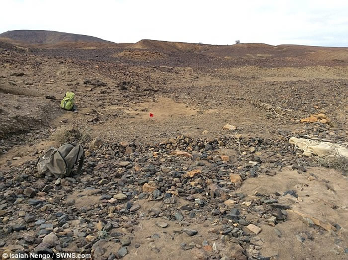 肯尼亚发现的1300万年前灵长类动物头骨化石为人类和猿类的非洲起源揭示新的光芒