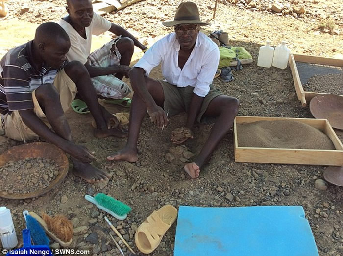 肯尼亚发现的1300万年前灵长类动物头骨化石为人类和猿类的非洲起源揭示新的光芒