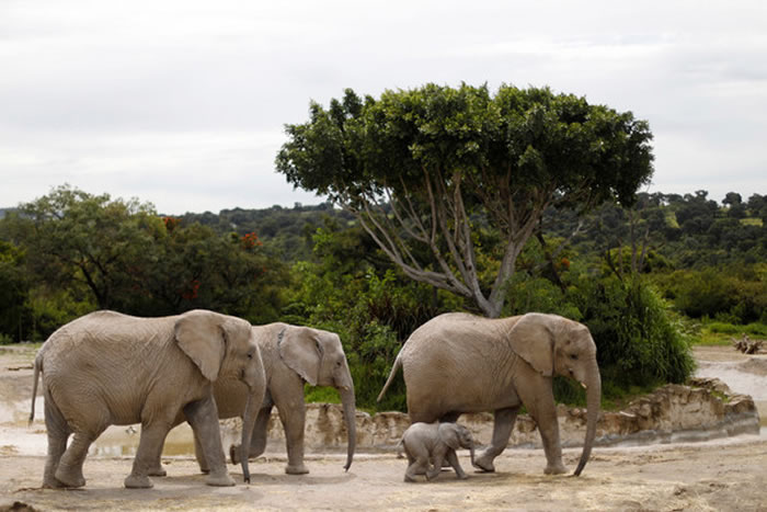 ��Ϣ�صļ��٣���һ������Ϊ�Ը���ѱ�Ĵ���Ҳ��ʼ������