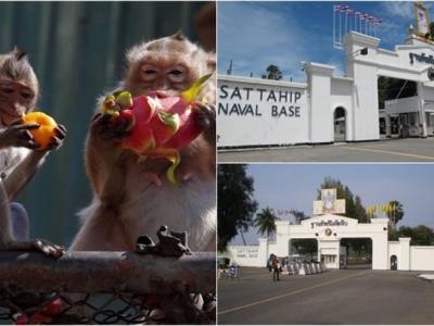 《国家科学评论》:二维材料的调控战略助力锂