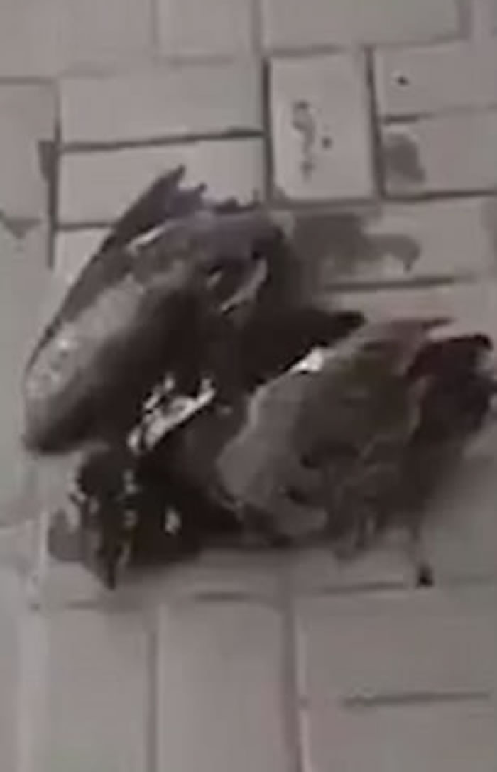 ɳ�ذ�����С����������»赹��ͷ ;�˽�ˮ���¾�һ��