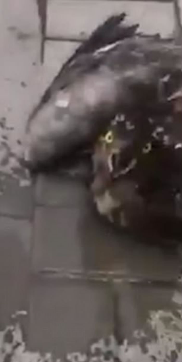 ɳ�ذ�����С����������»赹��ͷ ;�˽�ˮ���¾�һ��