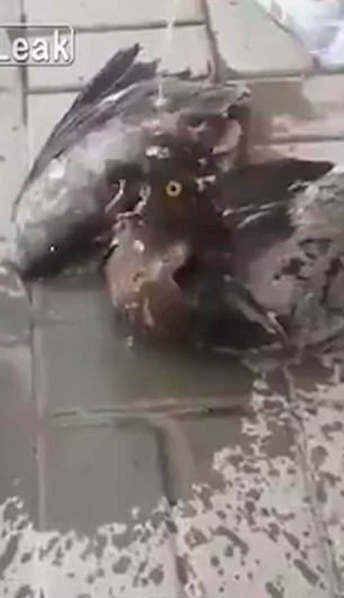 ɳ�ذ�����С����������»赹��ͷ ;�˽�ˮ���¾�һ��