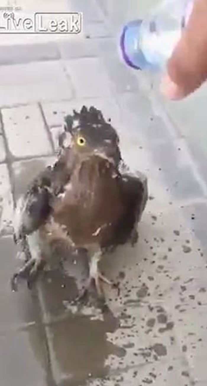 ɳ�ذ�����С����������»赹��ͷ ;�˽�ˮ���¾�һ��