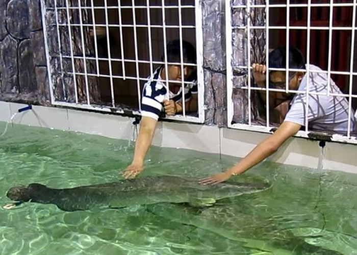 ���������ĳ���������㡱�������� ����ο���մ����